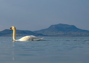 658147269_26284157664558813_7851261629199618362_n