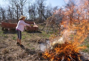 Depositphotos_255933198_L-1024x709-1