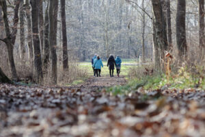 IMG_3503-1-1024x683-1