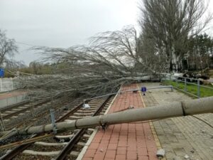 zamardi_fadoles_10694_20260327x