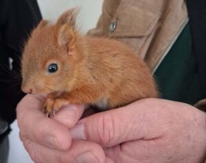 b14053a3dcb343cc90e3d03ac9c57618