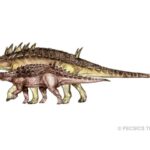 Ritka dinoszauruszra bukkantak a Bakonyban (welovebalaton.hu)