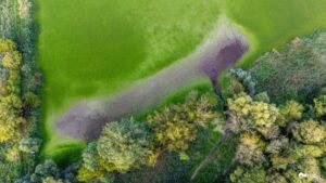 alibibalaton