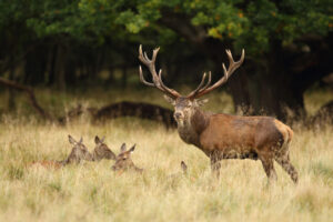szarvasok-atadhir20260909-1024x682-1